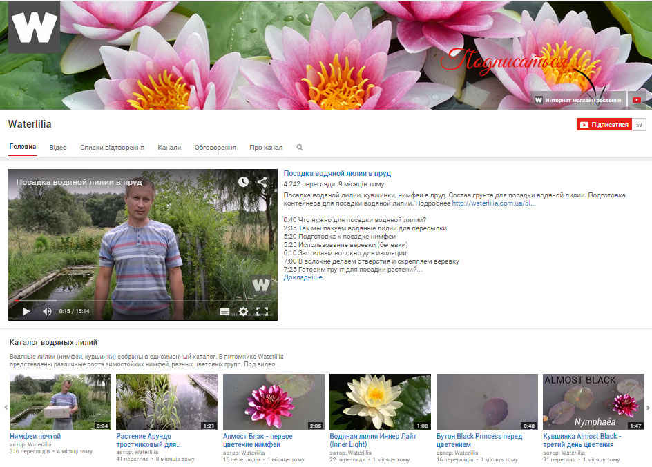 Так выглядит канал Waterlilia канал на youtube