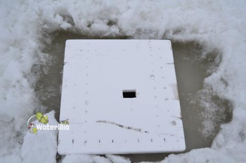 крышка из пенопласта для лунки крышка из пенопласта для лунки
