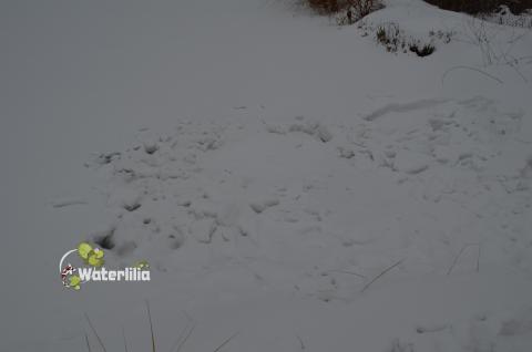 лунка под снегом укрытая пенопластом лунка под снегом укрытая пенопластом